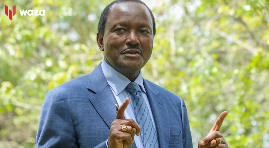 Wiper Party leader Kalonzo Musyoka